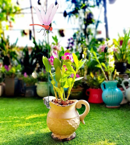 Dragonfly Clip Bug Repe Llent