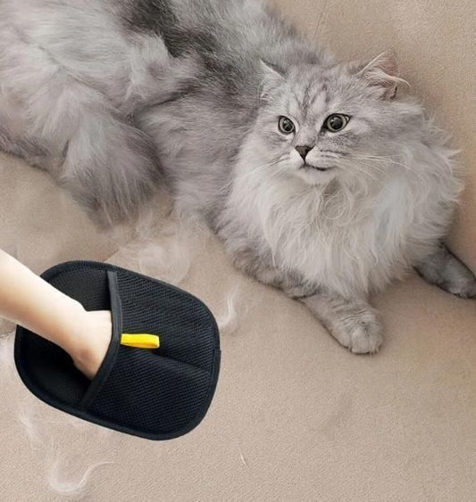 PET HAIR REMOVAL GLOVES ( pack of 2)