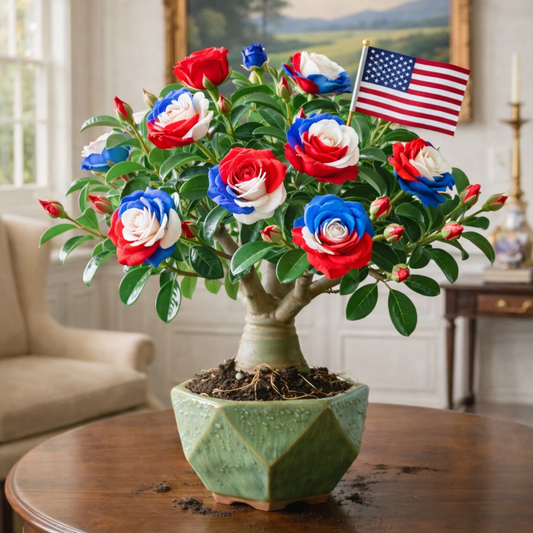 🇺🇸 Celebrate America’s 250th – Red, White & Blue Desert Rose (Adenium) Seeds