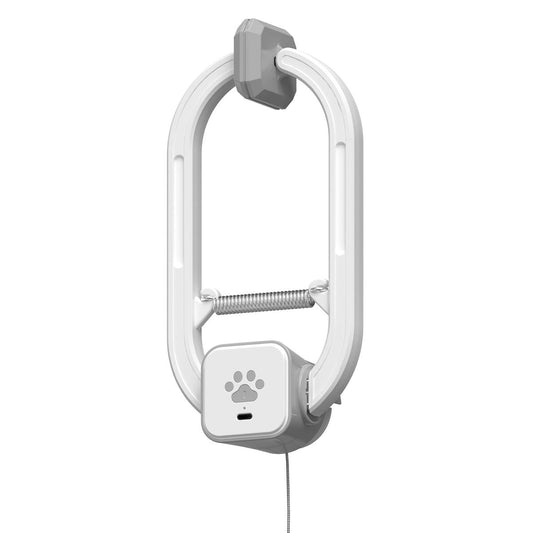 Electric Cat Teaser with Remote